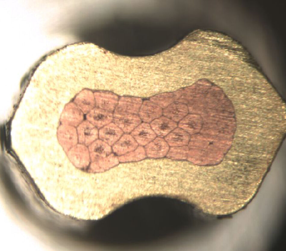 Microsection image of a high-quality wire crimp connection, showing the uniformly deformed crimp sleeve and the hexagonal shape of the conductors, indicating a proper, gas-tight joint.