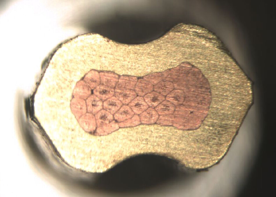 Microsection image of a high-quality wire crimp connection, showing the uniformly deformed crimp sleeve and the hexagonal shape of the conductors, indicating a proper, gas-tight joint.